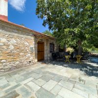 η αυλή / the patio