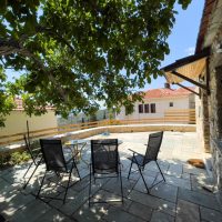 στην αυλή κάτω από την καρυδιά / in the patio, under the walnut tree